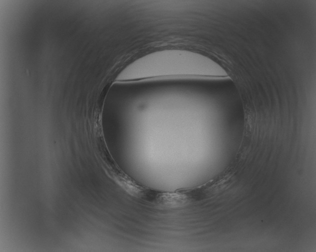 X0000053000429200507081000