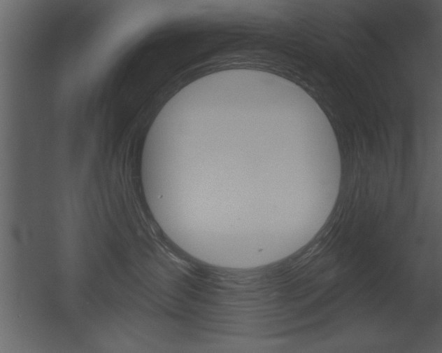 X0000053000431200507081000