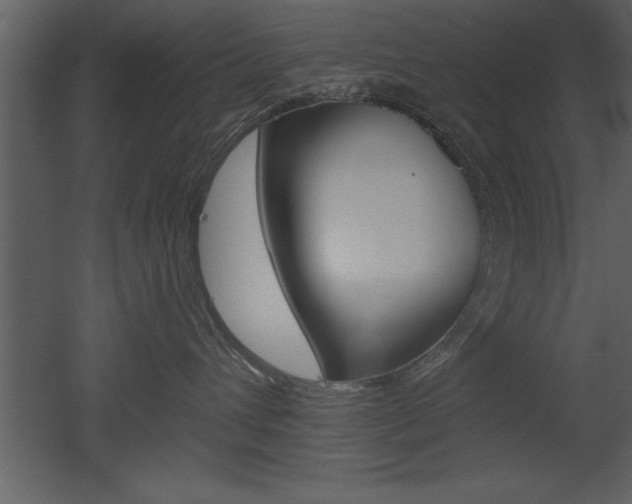 X0000053000432200507081000