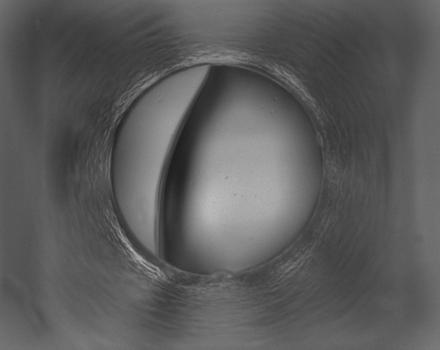 X0000053000433200507080959