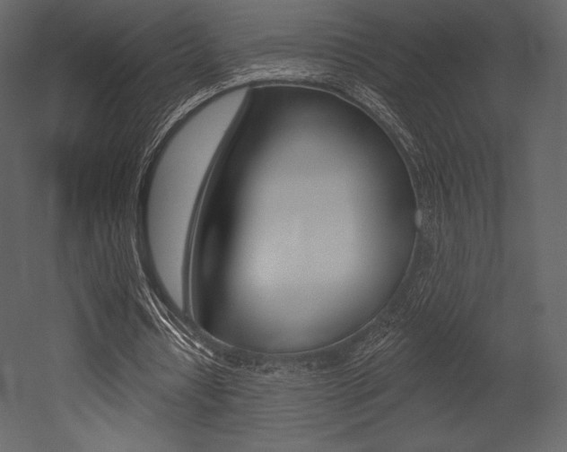 X0000053000434200507080959