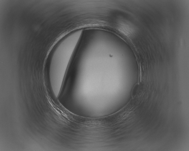 X0000053000435200507080959