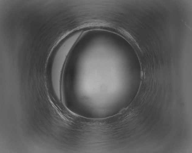X0000053000436200507080959