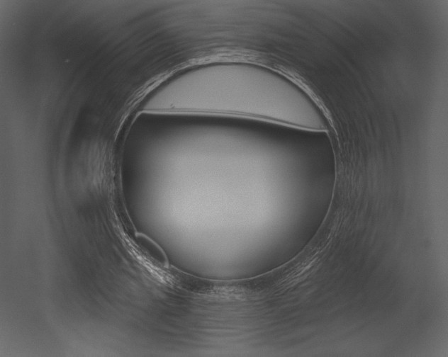 X0000053000437200507080959