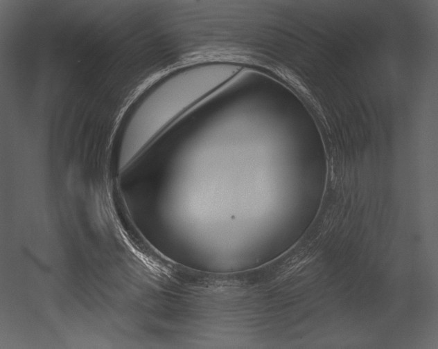 X0000053000438200507080959