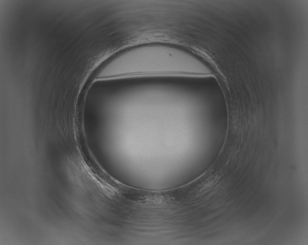 X0000053000439200507080959