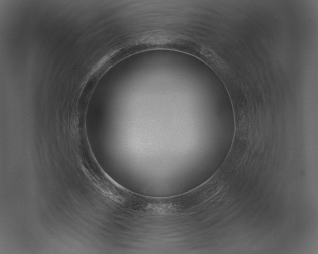 X0000053000440200507080959