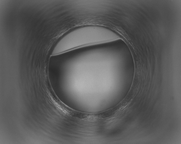 X0000053000441200507080959