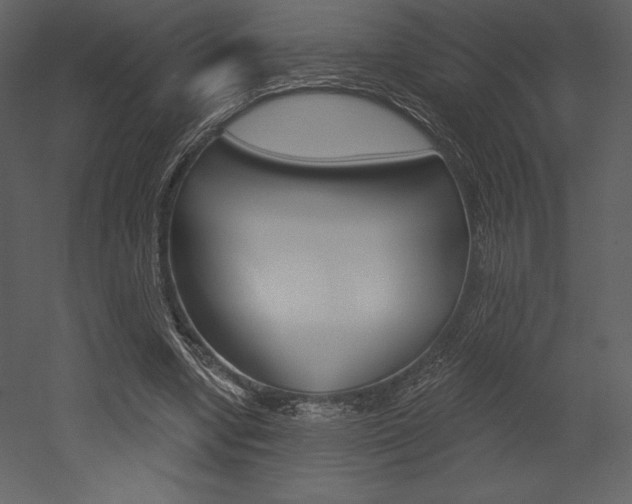 X0000053000442200507080959
