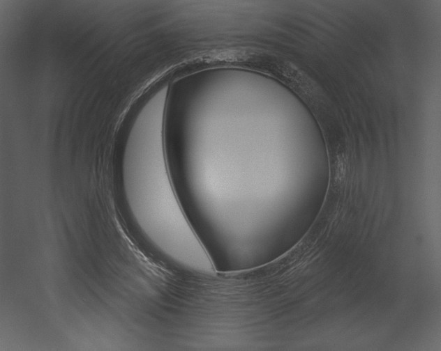 X0000053000444200507080959