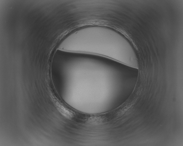 X0000053000445200507080959