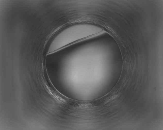 X0000053000446200507080959