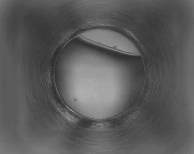 X0000053000447200507080959