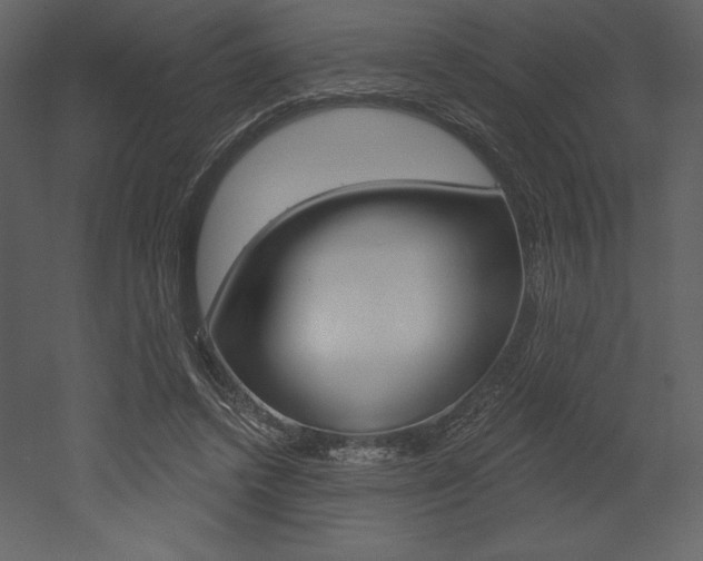 X0000053000448200507080959