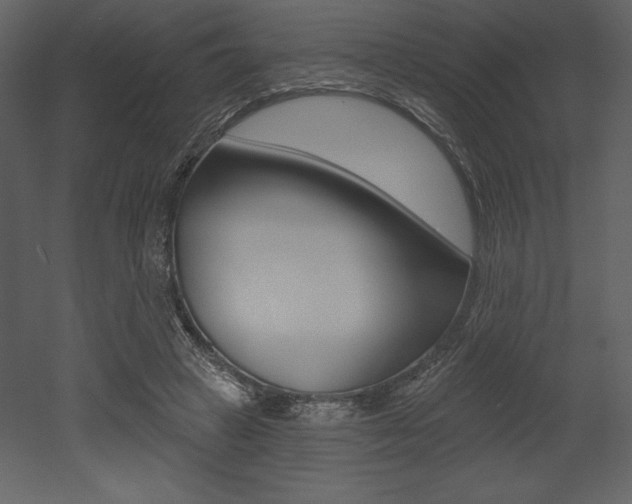 X0000053000449200507080959