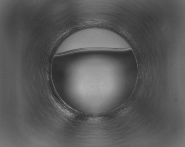 X0000053000450200507080959