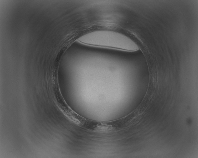 X0000053000455200507080959