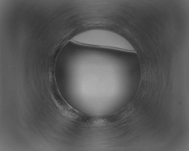 X0000053000456200507080959