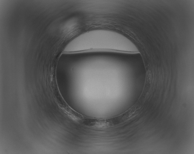 X0000053000458200507081000