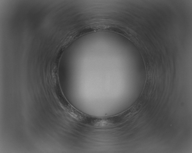 X0000053000460200507081000