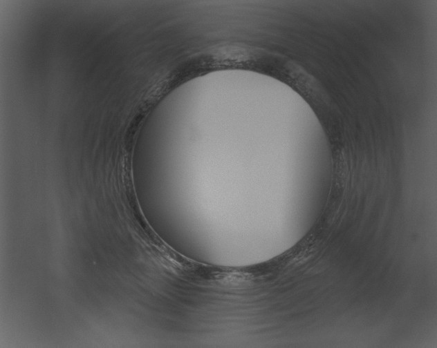 X0000053000463200507081000