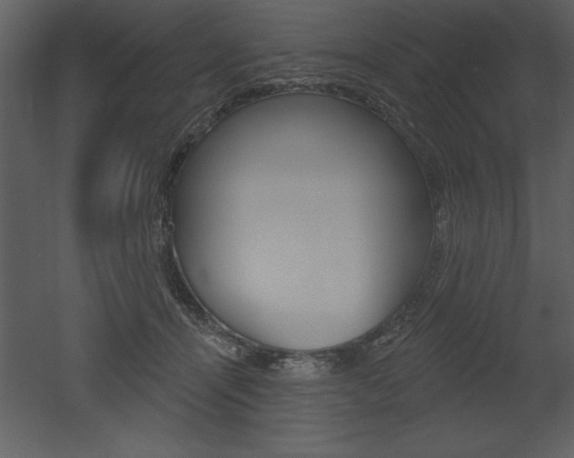 X0000053000464200507081000