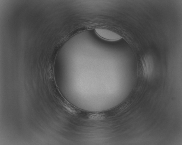 X0000053000465200507081000