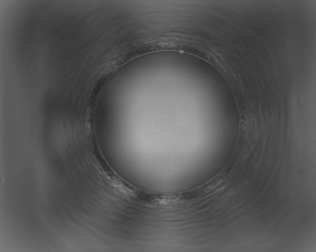 X0000053000466200507081000