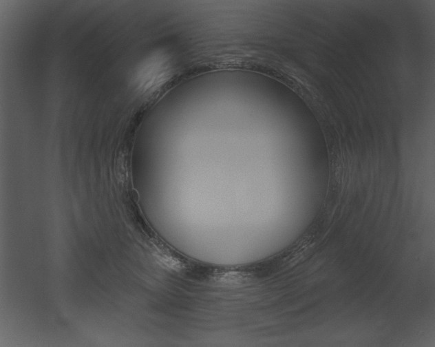 X0000053000467200507081000