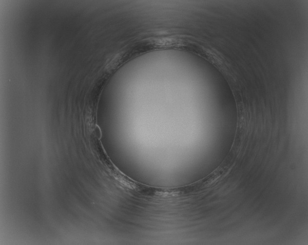 X0000053000469200507081000
