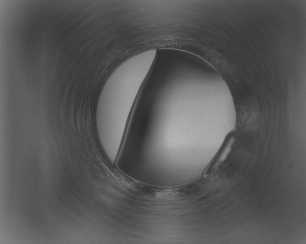 X0000053000470200507081000