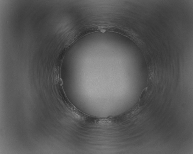 X0000053000471200507081000
