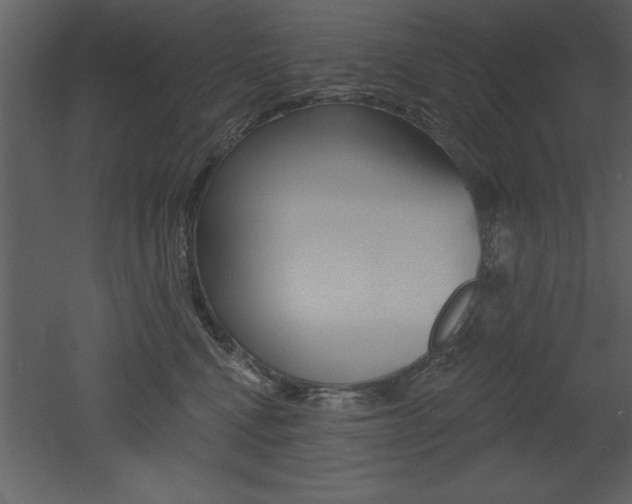 X0000053000472200507081000