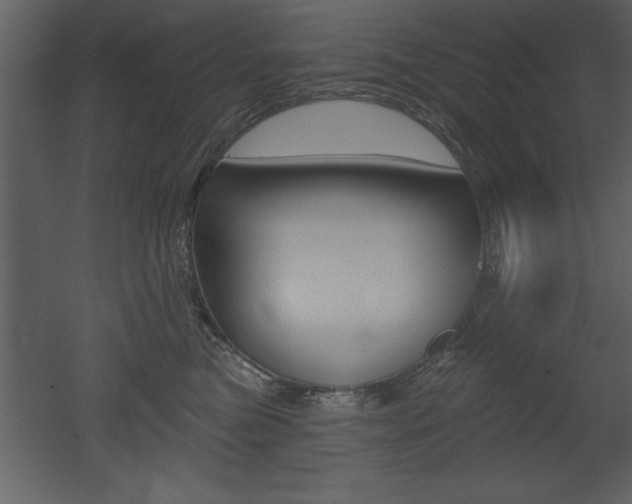 X0000053000473200507081000