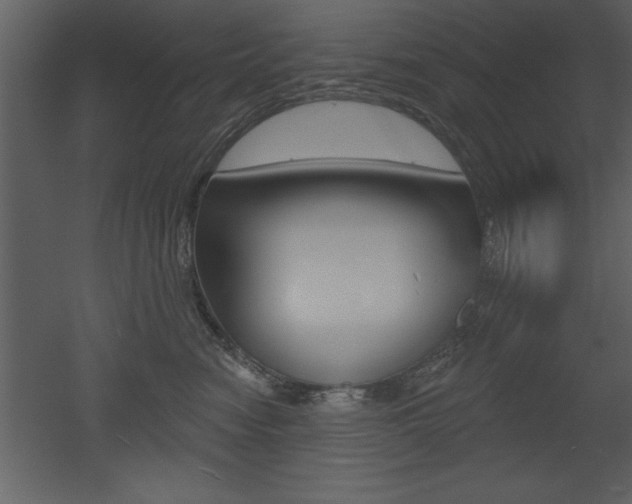 X0000053000474200507081000