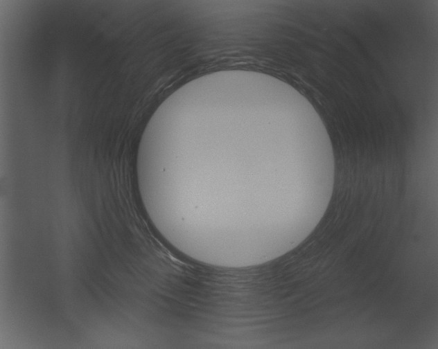 X0000053000475200507081000