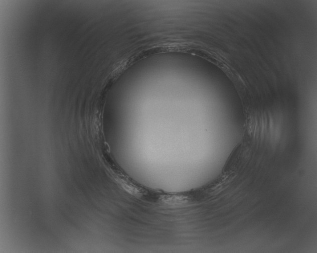 X0000053000476200507081000