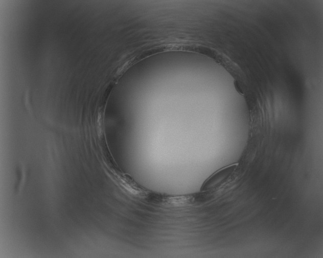 X0000053000479200507081000