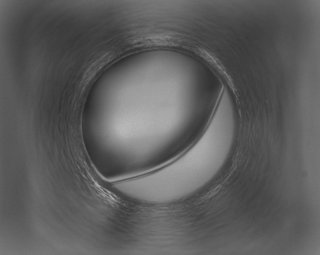 X0000053000481200507080959