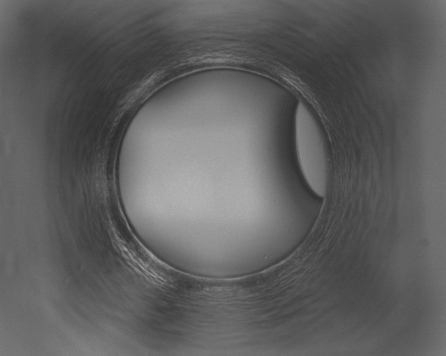 X0000053000482200507080959