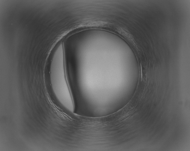 X0000053000483200507080959