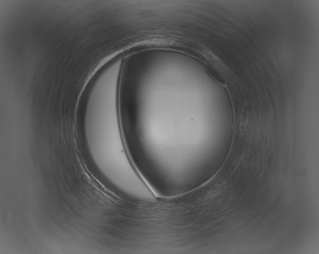 X0000053000484200507080959