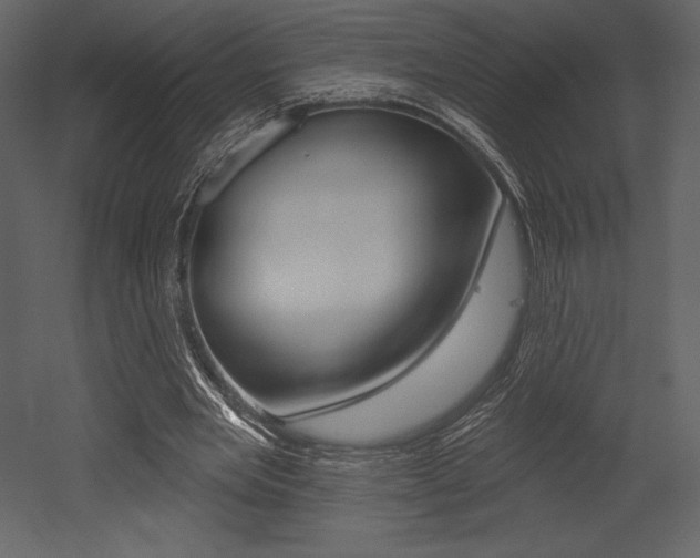 X0000053000485200507080959