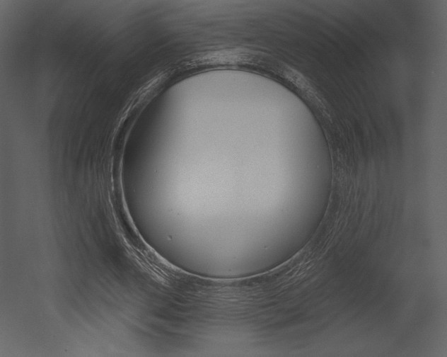 X0000053000486200507080959