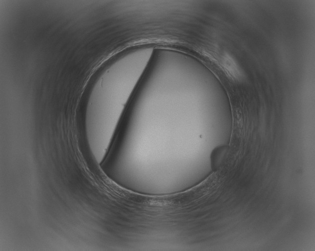 X0000053000487200507080959