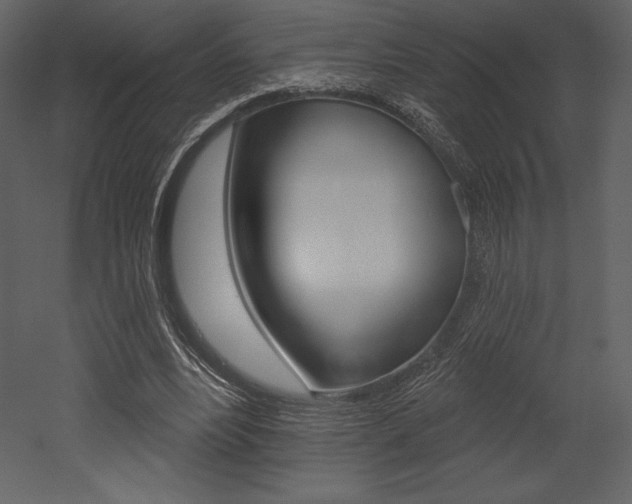 X0000053000488200507080959