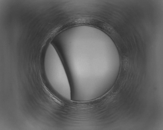 X0000053000490200507080959