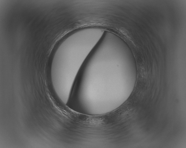 X0000053000491200507080959