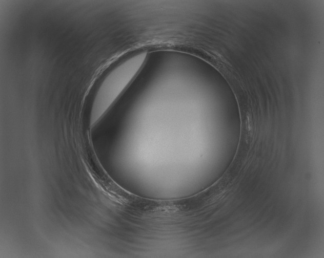 X0000053000492200507080959