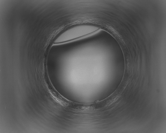 X0000053000493200507080959